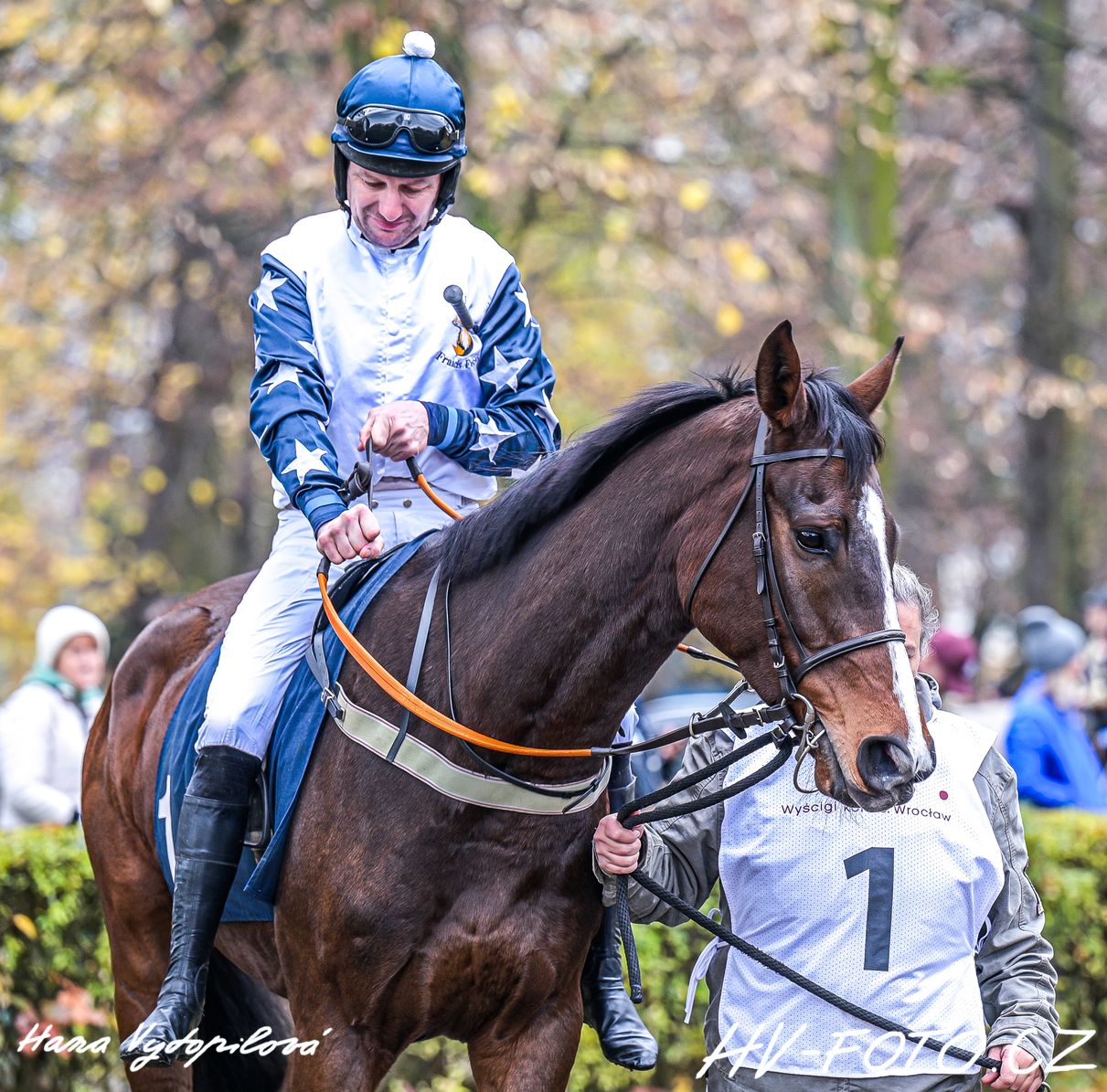 DSC_1102 kopie.jpg